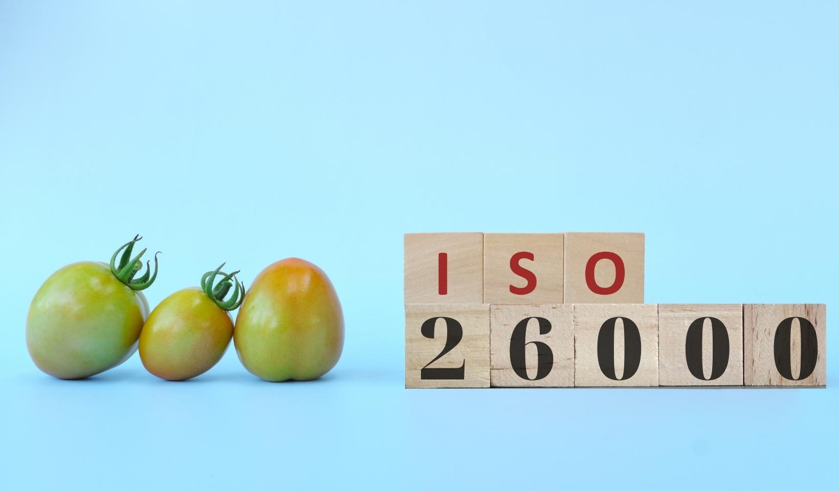 ISO 26000 là một Tiêu chuẩn quốc tế của Tổ chức Tiêu chuẩn quốc tế được ban hành