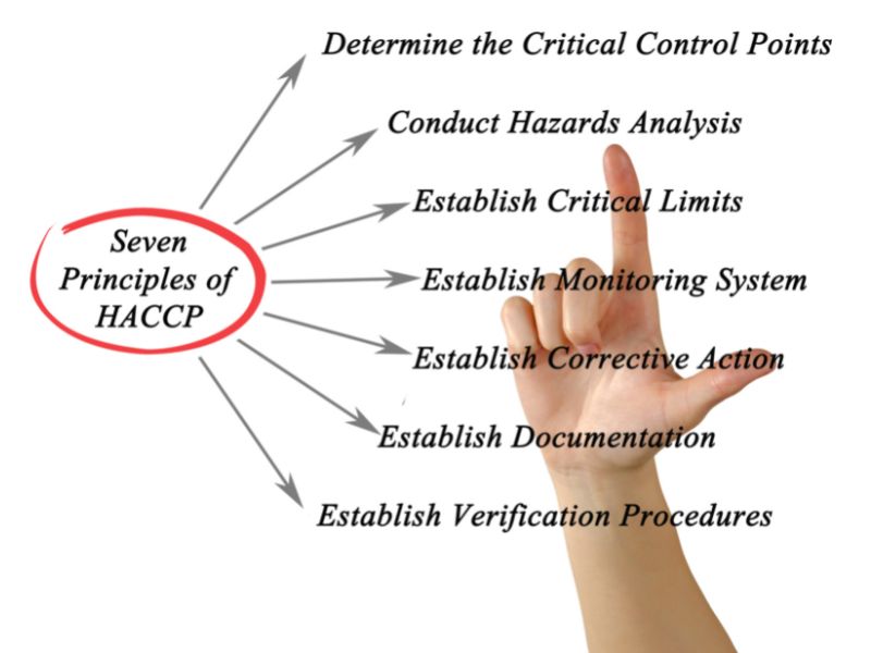 7 nguyên tắc của HACCP trong quản lý an toàn thực phẩm