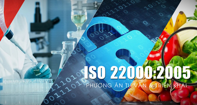 Dịch vụ chứng nhận ISO 22000 | Công ty Trí Việt 