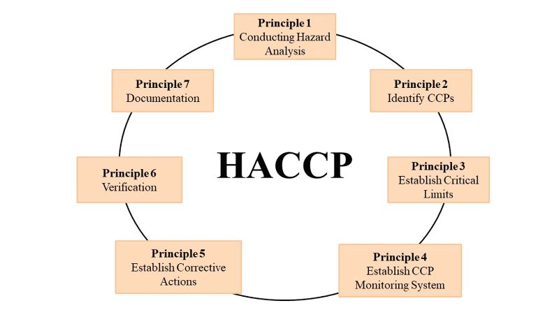 Nguyên tắc của Hệ thống HACCP