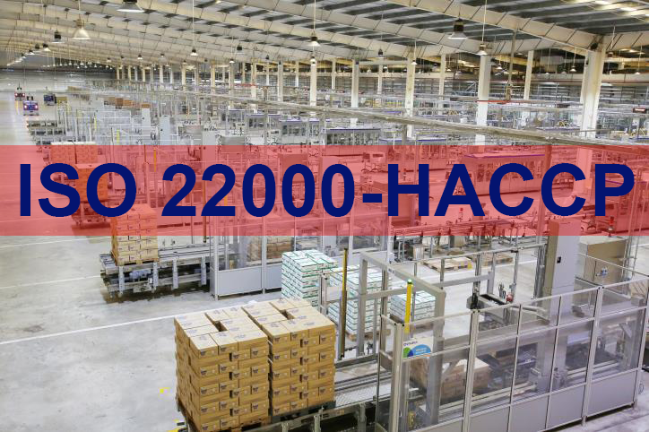 Dịch vụ chứng nhận ISO 22000 | Công ty Trí Việt