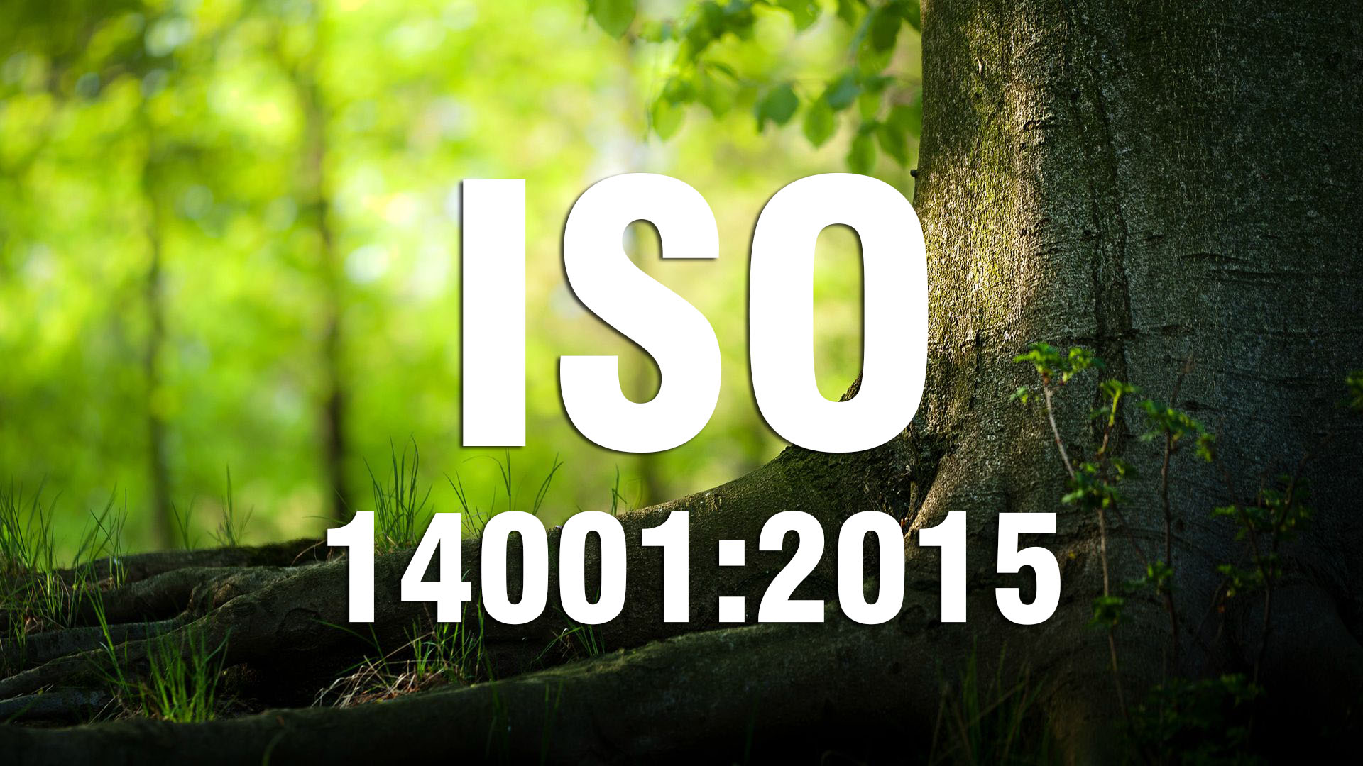 Tiêu chuẩn chứng chỉ ISO 14001 mới nhất có gì khác với bản cũ?