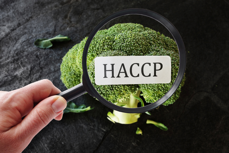 Chứng nhận ISO 22000:2018/HACCP quan trọng như thế nào?
