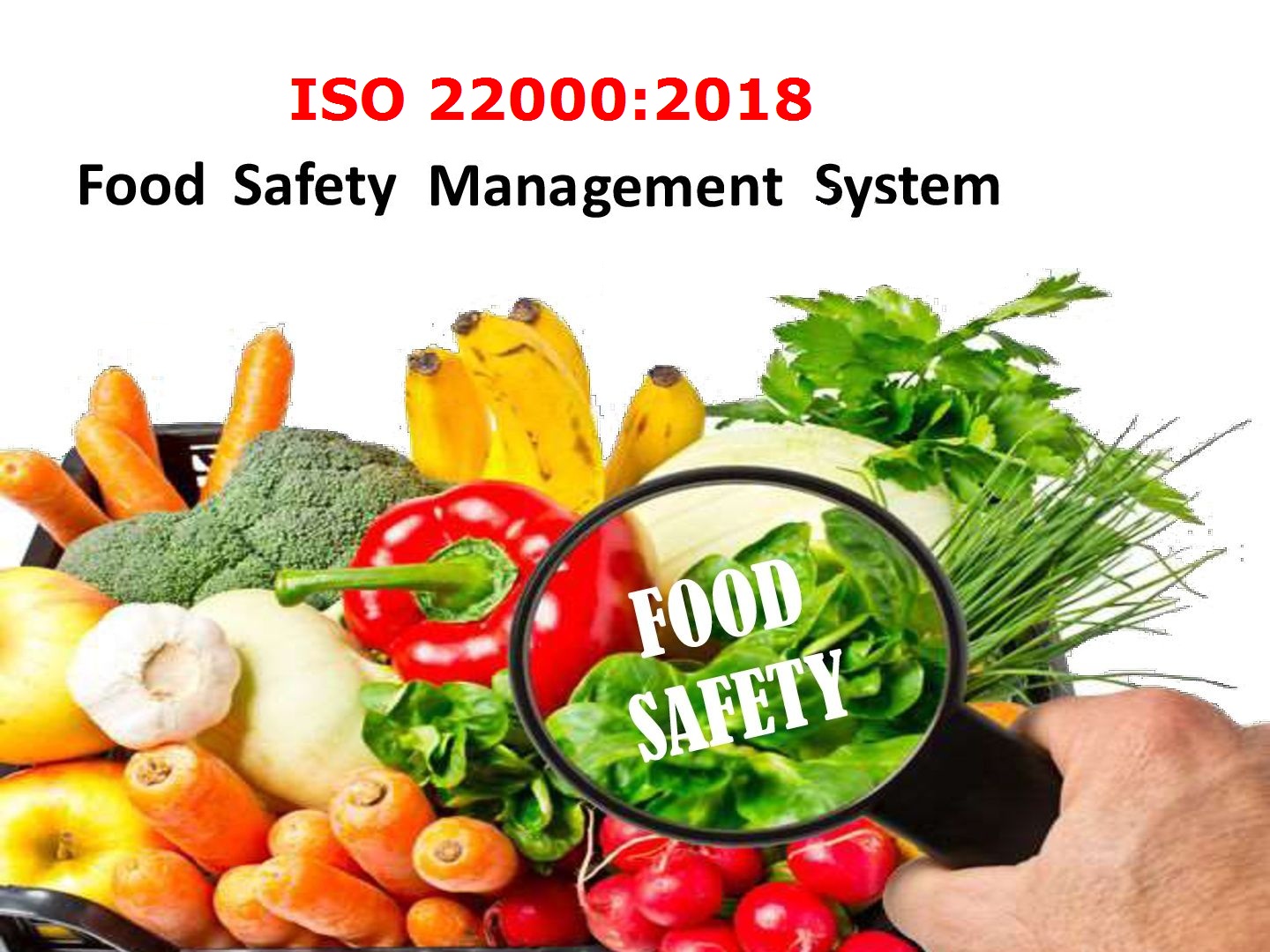 Giải Pháp Trí Việt - Tư vấn ISO 22000 cấp chứng chỉ an toàn thực phẩm