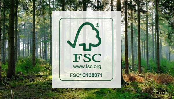 Lợi ích Chứng nhận FSC - Sự quan trọng của Chứng nhận FSC®, FSC® CoC khai thác Rừng bền vững 2023 | Uy tín - Nhanh chóng