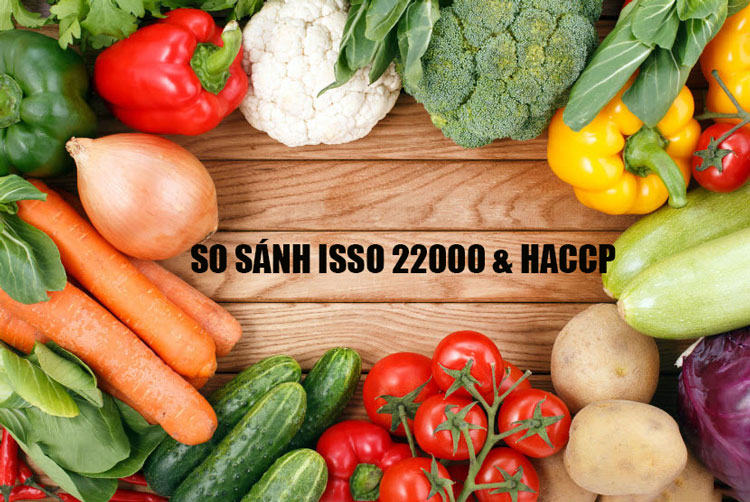 So sánh giữa ISO 22000 và HACCP: Điểm giống và khác nhau