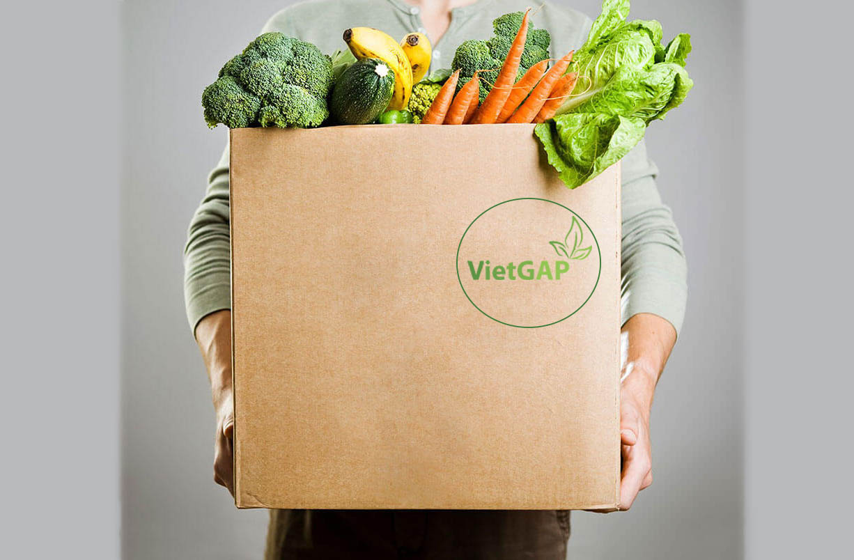 Tìm hiểu chứng nhận VietGAP trồng trọt là gì?
