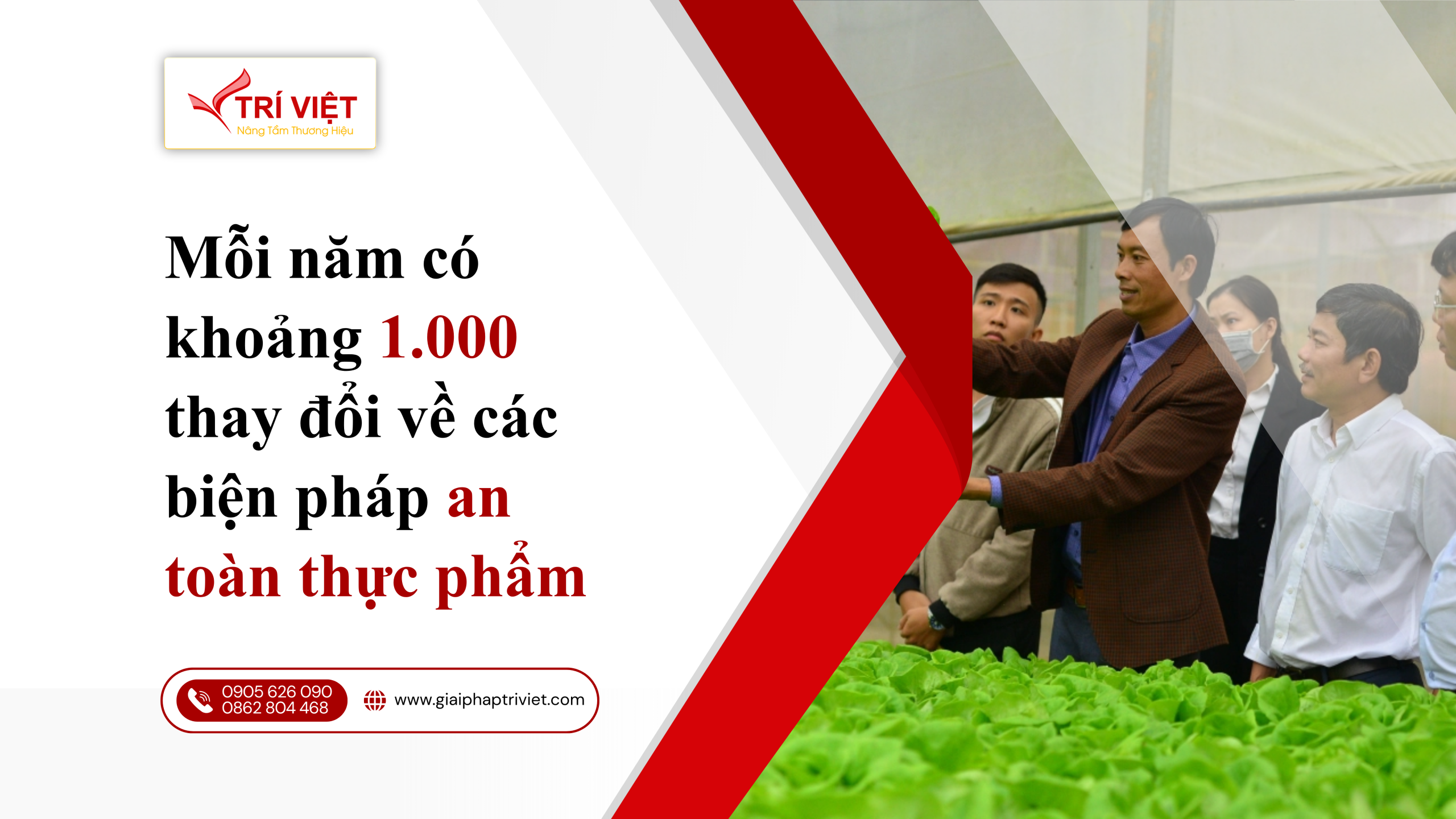 DỊCH VỤ TƯ VẤN GIẢI PHÁP TRÍ VIỆT