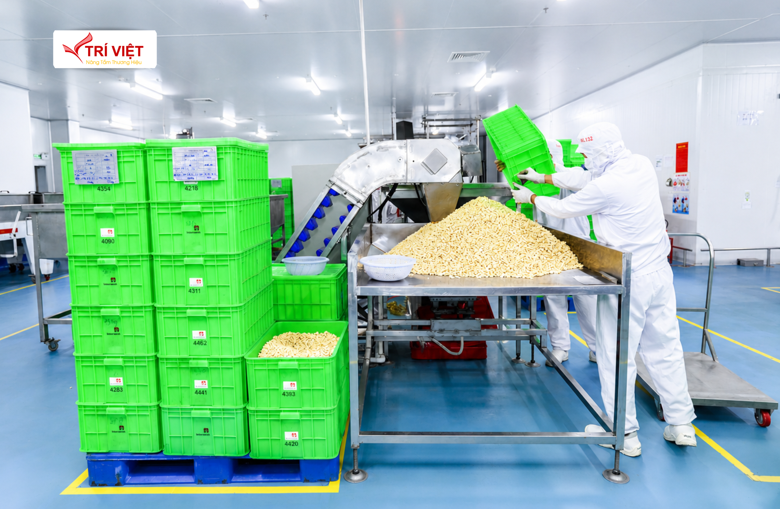 Công ty chứng nhận hợp chuẩn - hợp quy hàng đầu Việt Nam